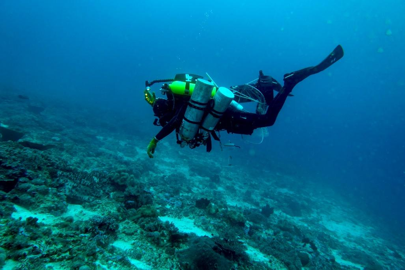 Diving in the twilit waters off eastern Tanzania.